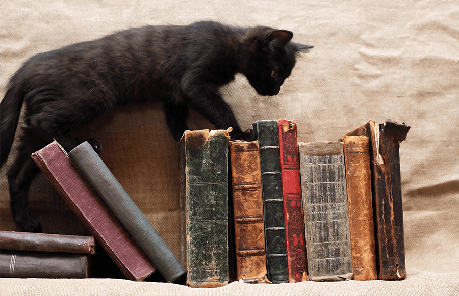 Superstition-in-Storytelling a black cat crawling over a stack of old books